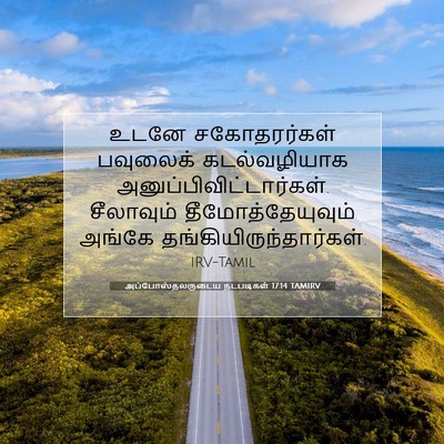 Picture 07 - அப்போஸ்தலருடைய நடபடிகள் 17:14 TAMIRV - உடனே சகோதரர்கள் - Bible Verse Picture