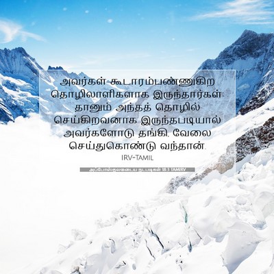 Picture 07 - அப்போஸ்தலருடைய நடபடிகள் 18:3 TAMIRV - அவர்கள் - Bible Verse Picture