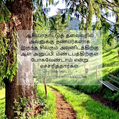Picture 07 - அப்போஸ்தலருடைய நடபடிகள் 19:31 TAMIRV - ஆசியாநாட்டுத் - Bible Verse Picture