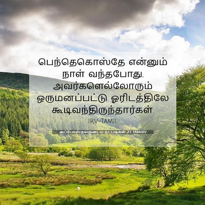 Picture 07 - அப்போஸ்தலருடைய நடபடிகள் 2:1 TAMIRV - பெந்தெகொஸ்தே - Bible Verse Picture
