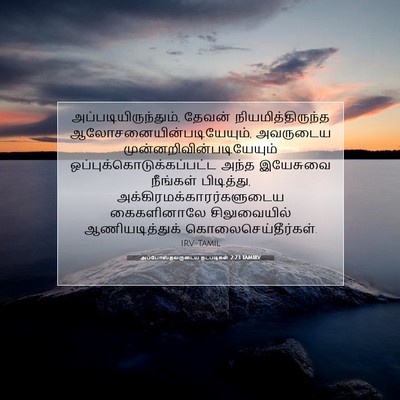 Picture 07 - அப்போஸ்தலருடைய நடபடிகள் 2:23 TAMIRV - அப்படியிருந்தும், - Bible Verse Picture