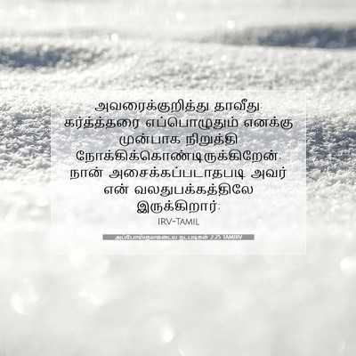 Picture 07 - அப்போஸ்தலருடைய நடபடிகள் 2:25 TAMIRV - அவரைக்குறித்து - Bible Verse Picture