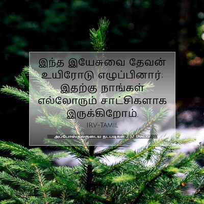 Picture 07 - அப்போஸ்தலருடைய நடபடிகள் 2:32 TAMIRV - இந்த இயேசுவை - Bible Verse Picture