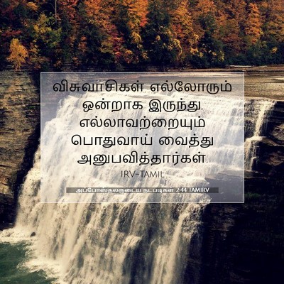 Picture 07 - அப்போஸ்தலருடைய நடபடிகள் 2:44 TAMIRV - விசுவாசிகள் - Bible Verse Picture