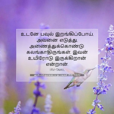 Picture 07 - அப்போஸ்தலருடைய நடபடிகள் 20:10 TAMIRV - உடனே பவுல் - Bible Verse Picture