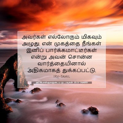 Picture 07 - அப்போஸ்தலருடைய நடபடிகள் 20:37 TAMIRV - அவர்கள் எல்லோரும் - Bible Verse Picture