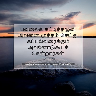 Picture 07 - அப்போஸ்தலருடைய நடபடிகள் 20:38 TAMIRV - பவுலைக் - Bible Verse Picture