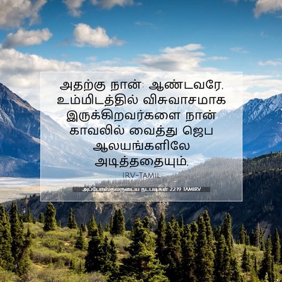 Picture 07 - அப்போஸ்தலருடைய நடபடிகள் 22:19 TAMIRV - அதற்கு நான்: - Bible Verse Picture