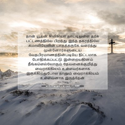 Picture 07 - அப்போஸ்தலருடைய நடபடிகள் 22:3 TAMIRV - நான் யூதன், - Bible Verse Picture