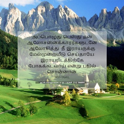 Picture 07 - அப்போஸ்தலருடைய நடபடிகள் 25:12 TAMIRV - அப்பொழுது பெஸ்து - Bible Verse Picture