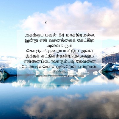 Picture 07 - அப்போஸ்தலருடைய நடபடிகள் 26:29 TAMIRV - அதற்குப் பவுல்: - Bible Verse Picture