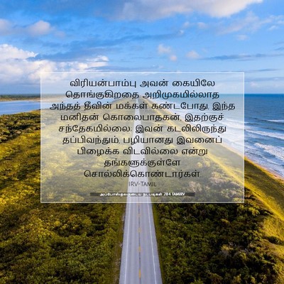 Picture 07 - அப்போஸ்தலருடைய நடபடிகள் 28:4 TAMIRV - விரியன்பாம்பு - Bible Verse Picture