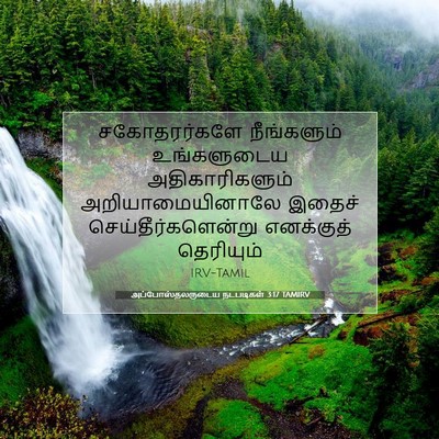 Picture 07 - அப்போஸ்தலருடைய நடபடிகள் 3:17 TAMIRV - சகோதரர்களே - Bible Verse Picture