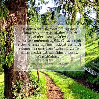 Picture 07 - அப்போஸ்தலருடைய நடபடிகள் 3:25 TAMIRV - நீங்கள் அந்தத் - Bible Verse Picture
