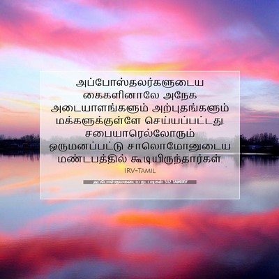 Picture 07 - அப்போஸ்தலருடைய நடபடிகள் 5:12 TAMIRV -  - Bible Verse Picture