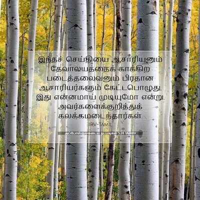 Picture 07 - அப்போஸ்தலருடைய நடபடிகள் 5:24 TAMIRV - இந்தச் செய்தியை - Bible Verse Picture