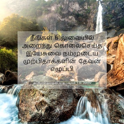 Picture 07 - அப்போஸ்தலருடைய நடபடிகள் 5:30 TAMIRV - நீங்கள் - Bible Verse Picture