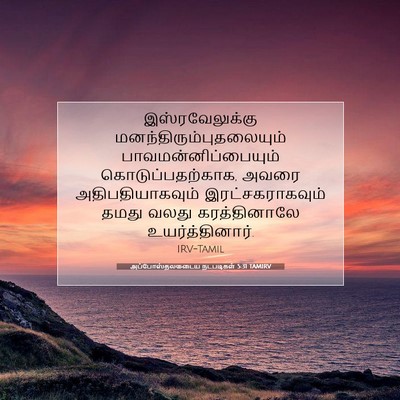 Picture 07 - அப்போஸ்தலருடைய நடபடிகள் 5:31 TAMIRV - இஸ்ரவேலுக்கு - Bible Verse Picture