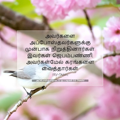 Picture 07 - அப்போஸ்தலருடைய நடபடிகள் 6:6 TAMIRV - அவர்களை - Bible Verse Picture