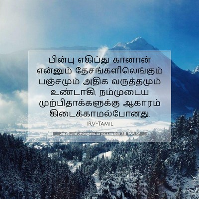 Picture 07 - அப்போஸ்தலருடைய நடபடிகள் 7:11 TAMIRV - பின்பு எகிப்து - Bible Verse Picture