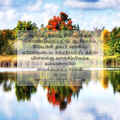 Picture 07 - அப்போஸ்தலருடைய நடபடிகள் 7:16 TAMIRV - அங்கேயிருந்து - Bible Verse Picture