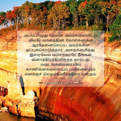 Picture 07 - அப்போஸ்தலருடைய நடபடிகள் 7:42 TAMIRV - அப்பொழுது தேவன் - Bible Verse Picture