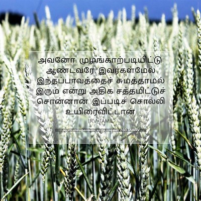 Picture 07 - அப்போஸ்தலருடைய நடபடிகள் 7:60 TAMIRV - அவனோ, - Bible Verse Picture