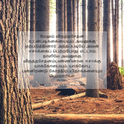 Picture 07 - அப்போஸ்தலருடைய நடபடிகள் 7:8 TAMIRV - மேலும் - Bible Verse Picture
