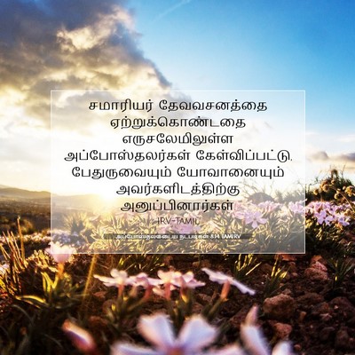 Picture 07 - அப்போஸ்தலருடைய நடபடிகள் 8:14 TAMIRV - சமாரியர் - Bible Verse Picture