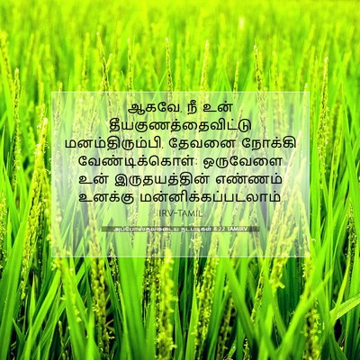 Picture 07 - அப்போஸ்தலருடைய நடபடிகள் 8:22 TAMIRV - ஆகவே, நீ உன் - Bible Verse Picture