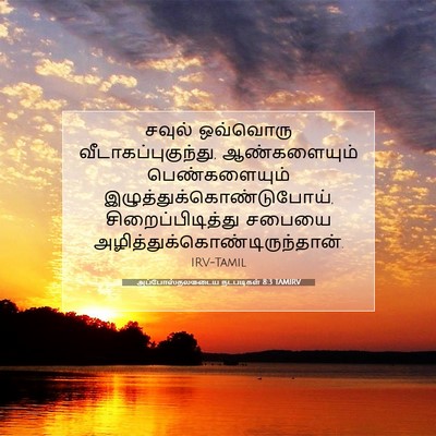 Picture 07 - அப்போஸ்தலருடைய நடபடிகள் 8:3 TAMIRV - சவுல் ஒவ்வொரு - Bible Verse Picture
