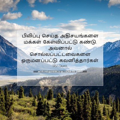 Picture 07 - அப்போஸ்தலருடைய நடபடிகள் 8:6 TAMIRV - பிலிப்பு செய்த - Bible Verse Picture