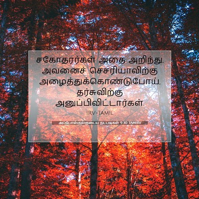 Picture 07 - அப்போஸ்தலருடைய நடபடிகள் 9:30 TAMIRV - சகோதரர்கள் அதை - Bible Verse Picture