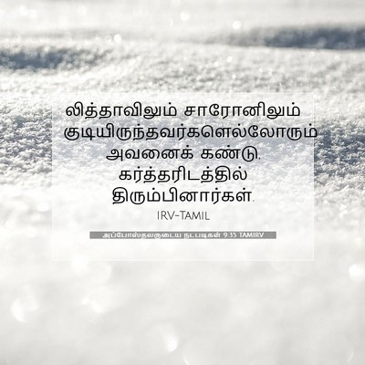 Picture 07 - அப்போஸ்தலருடைய நடபடிகள் 9:35 TAMIRV - லித்தாவிலும் - Bible Verse Picture