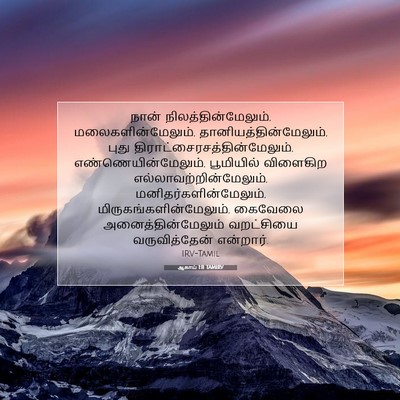 Picture 07 - ஆகாய் 1:11 TAMIRV - நான் - Bible Verse Picture