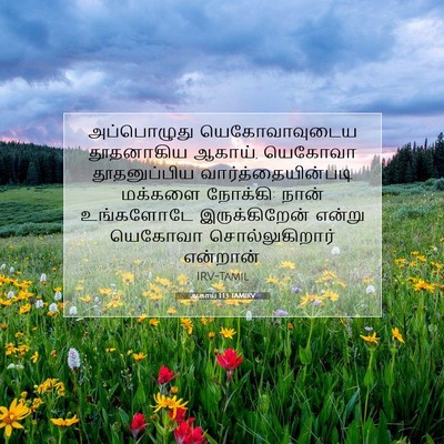 Picture 07 - ஆகாய் 1:13 TAMIRV - அப்பொழுது - Bible Verse Picture