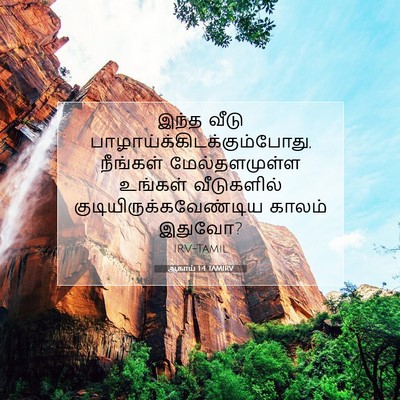 Picture 07 - ஆகாய் 1:4 TAMIRV - இந்த வீடு - Bible Verse Picture