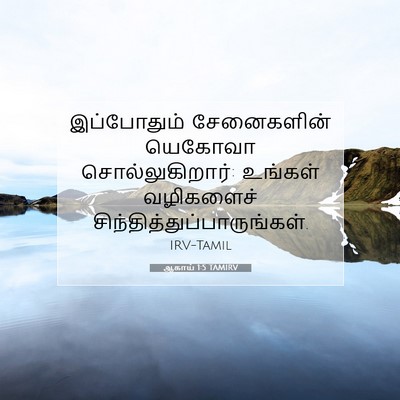 Picture 07 - ஆகாய் 1:5 TAMIRV - இப்போதும் - Bible Verse Picture
