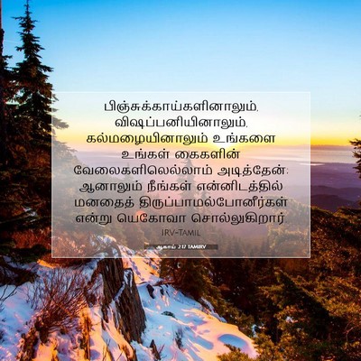 Picture 07 - ஆகாய் 2:17 TAMIRV -  - Bible Verse Picture