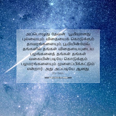 Picture 07 - ஆதியாகமம் 1:11 TAMIRV - அப்பொழுது தேவன்: - Bible Verse Picture