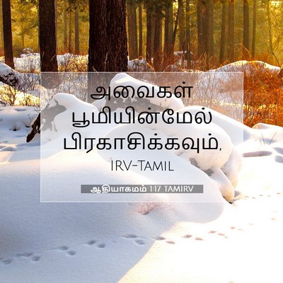 Picture 07 - ஆதியாகமம் 1:17 TAMIRV - அவைகள் - Bible Verse Picture