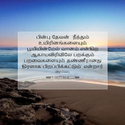 Picture 07 - ஆதியாகமம் 1:20 TAMIRV - பின்பு தேவன்: - Bible Verse Picture