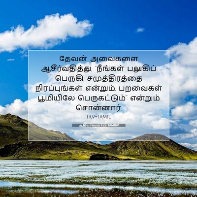 Picture 07 - ஆதியாகமம் 1:22 TAMIRV - தேவன் அவைகளை - Bible Verse Picture