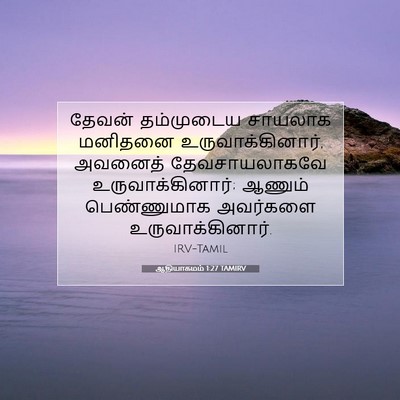Picture 07 - ஆதியாகமம் 1:27 TAMIRV - தேவன் தம்முடைய - Bible Verse Picture