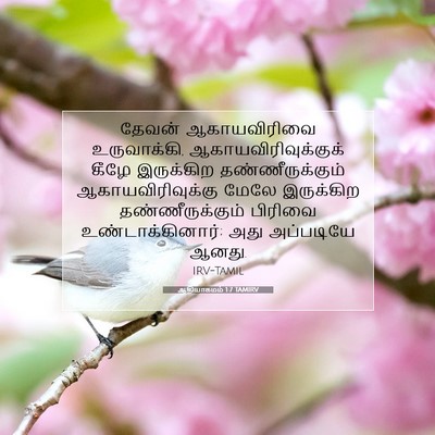 Picture 07 - ஆதியாகமம் 1:7 TAMIRV - தேவன் ஆகாயவிரிவை - Bible Verse Picture