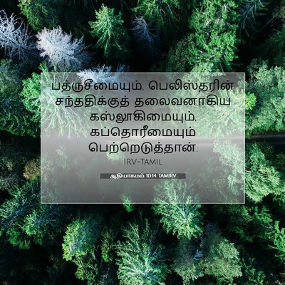 Picture 07 - ஆதியாகமம் 10:14 TAMIRV - பத்ருசீமையும், - Bible Verse Picture