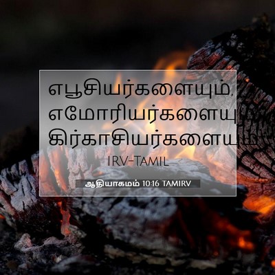 Picture 07 - ஆதியாகமம் 10:16 TAMIRV - எபூசியர்களையும், - Bible Verse Picture