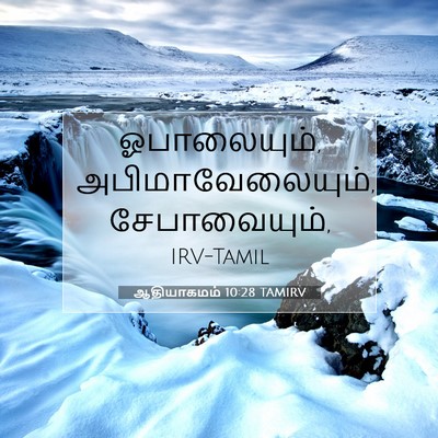 Picture 07 - ஆதியாகமம் 10:28 TAMIRV - ஓபாலையும், - Bible Verse Picture