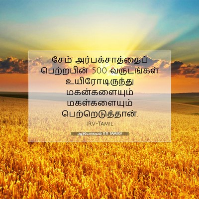 Picture 07 - ஆதியாகமம் 11:11 TAMIRV - சேம் - Bible Verse Picture
