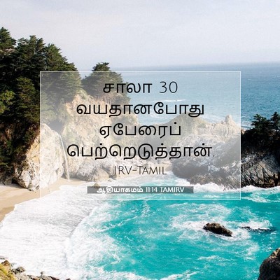 Picture 07 - ஆதியாகமம் 11:14 TAMIRV - சாலா 30 வயதானபோது - Bible Verse Picture